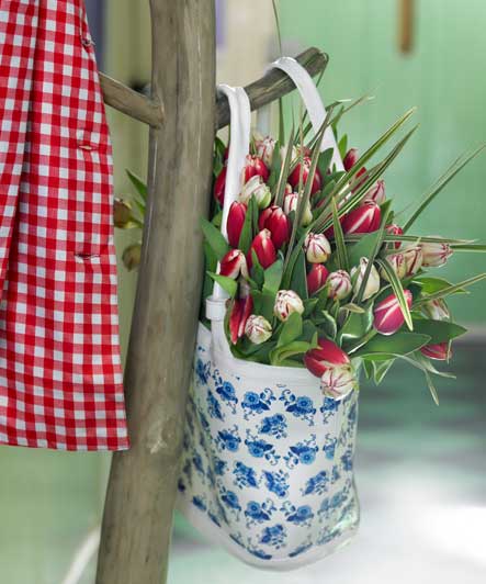 tulpentijd tulpentijd